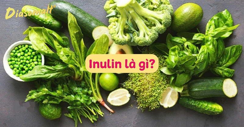 Tìm hiểu về chất xơ Inulin